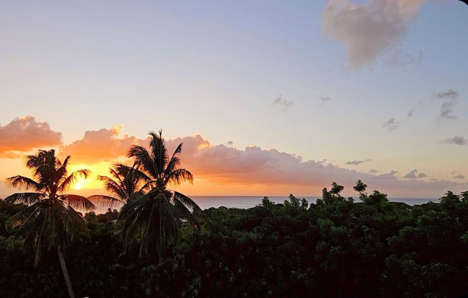 Purple Haze - Infinity Pool Holiday Home Minutes From The Island'S Best Beaches Saint James Exterior foto